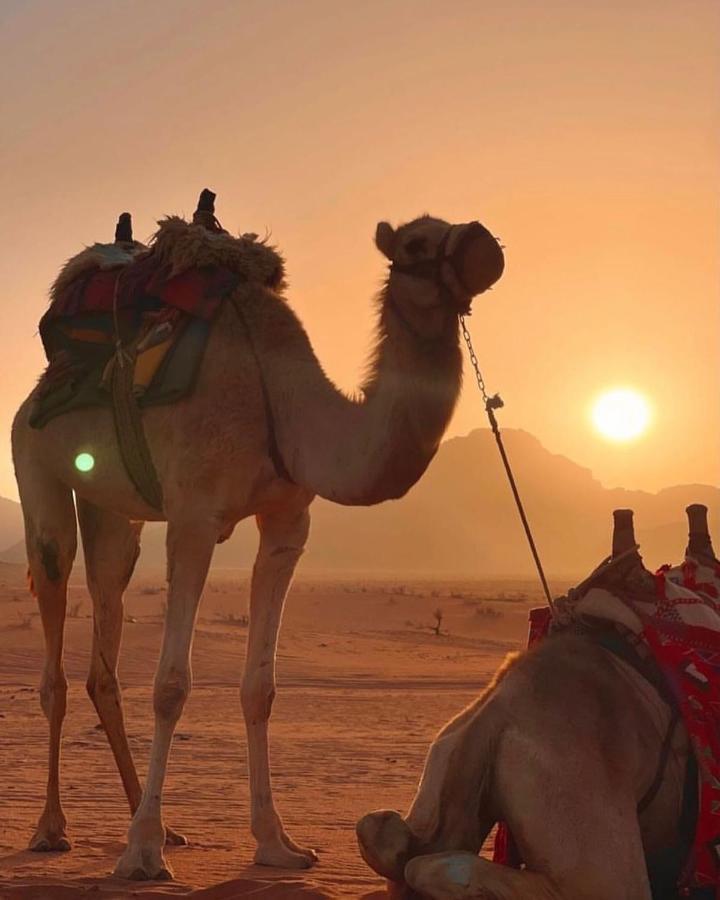 Rum Desert Princess Camp Wadi Rum Exteriör bild